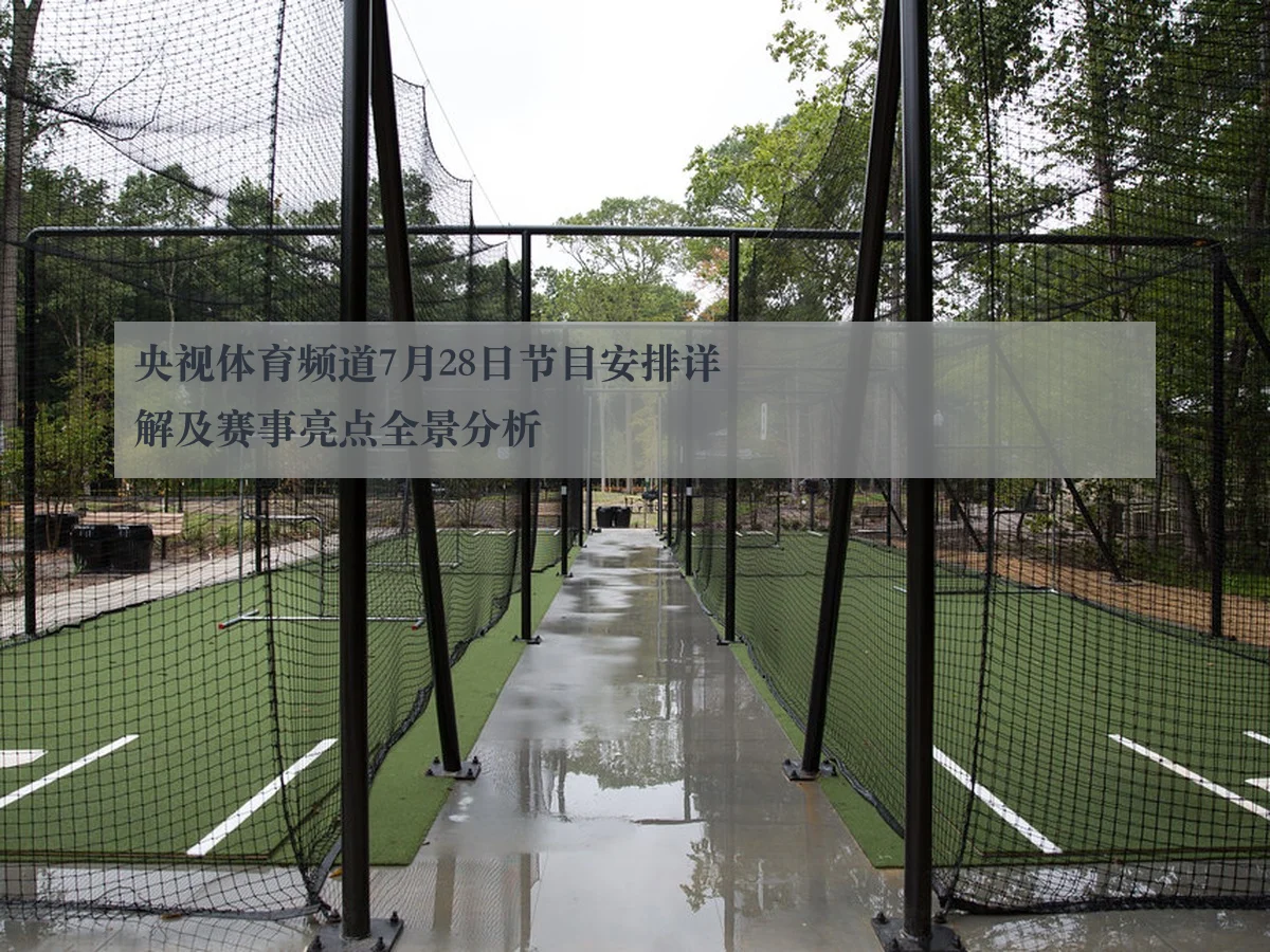 央视体育频道7月28日节目安排详解及赛事亮点全景分析